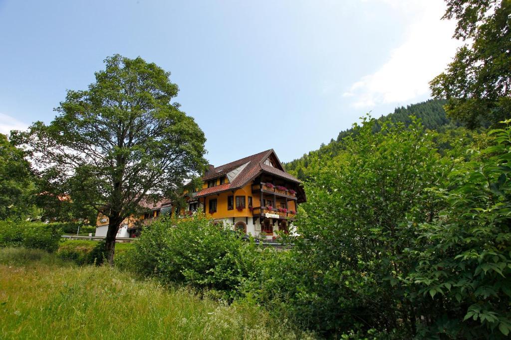 Hotel Gasthaus Hirschen Im Hochschwarzwald Todtnau Nahe Feldberg Kültér fotó